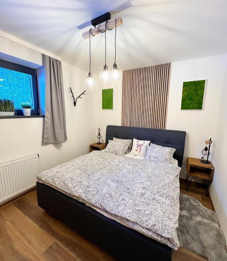 U Jelena Harrachov - Rodinny Apartman U Lesa S Garazi Esterno foto
