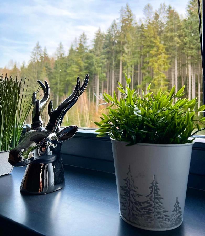 U Jelena Harrachov - Rodinny Apartman U Lesa S Garazi Esterno foto