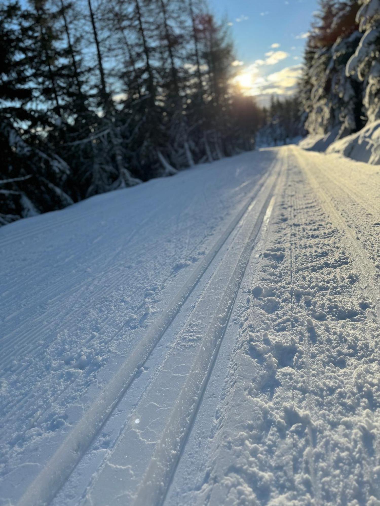 U Jelena Harrachov - Rodinny Apartman U Lesa S Garazi Esterno foto